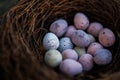 Happy Easter candy easter eggs in birds nest Royalty Free Stock Photo