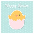 Happy Easter card. Chicken in an eggshell. Vector illustration Royalty Free Stock Photo