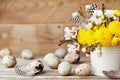 Happy Easter card with colorful flowers, feather and quail eggs on vintage wooden background. Beautiful spring composition. Royalty Free Stock Photo