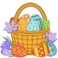 Happy Easter. Card of crocuses and Bright easter eggs in the basket isolated on white background. Vector isolated elements.