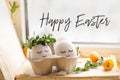 Happy Easter card. Cute Easter eggs with a painted face in a spring wreath with copy space for text. Happy easter Royalty Free Stock Photo