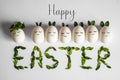 Happy Easter card. Cute Easter eggs with a painted face in a spring wreath with copy space for text. on white background Royalty Free Stock Photo