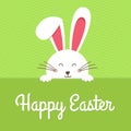 Happy Easter card with rabbit ears. Easter rabbit for Easter holidays design. Easter bunny vector illustration Royalty Free Stock Photo