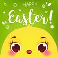 Happy Easter card template. Cute chicken face. Cartoon chick.