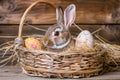 Happy easter carnations Eggs Impatiens petals Basket. White speckled eggs Bunny Hopping. Festive background wallpaper Royalty Free Stock Photo