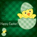 Happy Easter Chick card Royalty Free Stock Photo