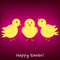 Happy Easter Chick card Royalty Free Stock Photo