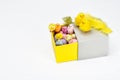 Happy Easter chicken family in an open box with colorful Easter eggs Royalty Free Stock Photo