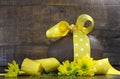 Happy Easter chocolate easter egg with yellow polka dot ribbon