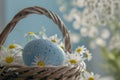 Happy easter chrysanthemum Eggs Ladybugs Basket. White optimistic Bunny cheery. Plants background wallpaper Royalty Free Stock Photo