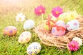 Happy easter! Closeup Colorful Easter eggs in nest Royalty Free Stock Photo