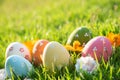 Happy easter!  Closeup Colorful Easter eggs in nest on green grass field during sunset background Royalty Free Stock Photo