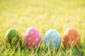 Happy easter!  Closeup Colorful Easter eggs in nest on green grass field during sunset background Royalty Free Stock Photo