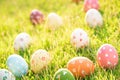 Happy easter!  Closeup Colorful Easter eggs in nest on green grass field during sunset background Royalty Free Stock Photo