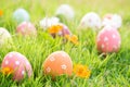 Happy easter!  Closeup Colorful Easter eggs in nest on green grass field during sunset background Royalty Free Stock Photo