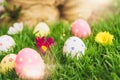 Happy easter! Closeup Colorful Easter eggs in nest Royalty Free Stock Photo