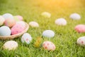 Happy easter! Closeup Colorful Easter eggs in nest Royalty Free Stock Photo