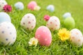 Happy easter! Closeup Colorful Easter eggs in nest Royalty Free Stock Photo