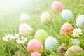 Happy easter! Closeup Colorful Easter eggs in nest Royalty Free Stock Photo