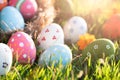 Happy easter! Closeup Colorful Easter eggs in nest on green grass field during sunset background Royalty Free Stock Photo