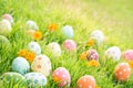 Happy easter!  Closeup Colorful Easter eggs in nest on green grass field during sunset background Royalty Free Stock Photo