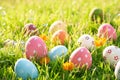 Happy easter!  Closeup Colorful Easter eggs in nest on green grass field during sunset background Royalty Free Stock Photo