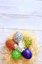 Happy easter. Colored eggs with black dots and white flowers Royalty Free Stock Photo