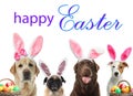 Happy Easter. Colorful eggs and cute dogs with bunny ears headbands on white background