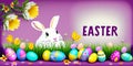 Happy Easter, Colorful Easter Eggs. Easter decoration, Congratulatory easter background. Easter eggs and flowers. Background with Royalty Free Stock Photo