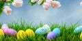 Happy Easter, Colorful Easter Eggs. Easter decoration, Congratulatory easter background. Easter eggs and flowers. Background with Royalty Free Stock Photo