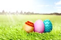 Happy Easter Royalty Free Stock Photo