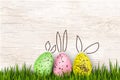 Happy Easter. Colorful, funny rabbit eggs, grass on bright wooden background. Design template for Banner, flyer