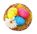 Happy Easter. Colorful Glitter Eggs with Chamomile