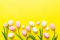 Happy Easter composition. Easter eggs on colored table with yellow Tulips. Natural dyed colorful eggs background top Royalty Free Stock Photo