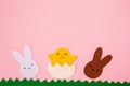 Happy Easter concept. Cut out the felt applications of white and brown rabbits and the chicken hatched from the egg. Pink Royalty Free Stock Photo