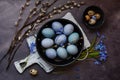 Happy Easter concept with easter eggs in nest and willows. Easter background Royalty Free Stock Photo