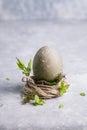 Happy easter concept. Easter painted egg in green tones in the nest and branch with leaves on a light grey background Royalty Free Stock Photo