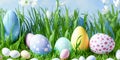 Happy Easter concept with easter eggs and spring flowers. Decorated easter eggs in grass with flowers. Easter background with copy Royalty Free Stock Photo