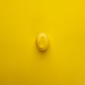 Happy Easter concept. Flat lay. Minimal concept. Top view. Yellow colorful Egg on bright yellow background, modern monochrome