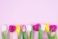 Happy easter concept. Top above hing angle view photo of beautiful row of tulips isolated on soft background Royalty Free Stock Photo