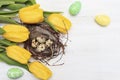 Happy Easter. Congratulatory Easter background. Easter eggs and flowers. Colorful Easter eggs in a nest on a pastel color Royalty Free Stock Photo