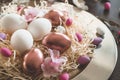 Happy Easter. Congratulatory easter background. Easter eggs on a metal plate with spring flowers on a wooden background Royalty Free Stock Photo