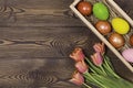 Happy Easter. Congratulatory easter background. Easter eggs and flowers Royalty Free Stock Photo