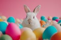 Happy easter content Eggs Quick Basket. White Orange Rind Bunny baby blue. rose haze background wallpaper Royalty Free Stock Photo