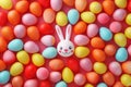 Happy easter copy area Eggs Easter wallpaper Basket. White window decor Bunny maroon. Easter egg centerpiece background wallpaper Royalty Free Stock Photo