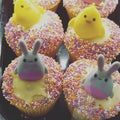 Happy Easter cupcake bunny Royalty Free Stock Photo