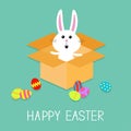 Happy Easter. Cute bunny rabbit and eggs. Open paper cardboard package gift box. Flat design.