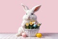 Happy Easter. Cute Easter bunny brings flowers in a basket and colored eggs, Copy space Royalty Free Stock Photo