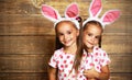 Happy easter! cute twins girls sisters dressed as rabbits on wo