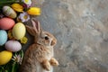 Happy easter easter daisy Eggs Fresh produce Basket. White Ash Bunny hellebores. thinking of you card background wallpaper